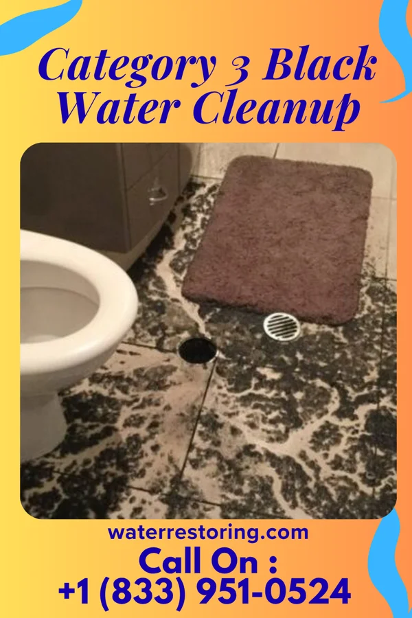 Category 3 Black Water Cleanup in Oak Harbor, WA